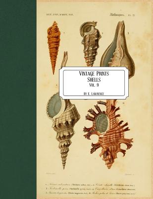 Coperta cărții 'Vintage Prints: Shells: Vol. 9 - E. Lawrence'