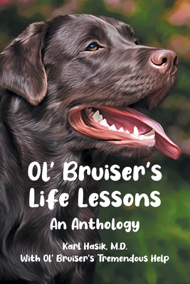Ol' Bruiser's Life Lessons: An Anthology - Karl Hasik 