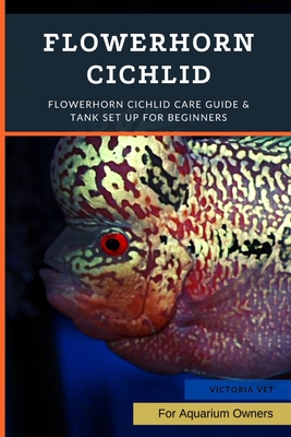 Flowerhorn Cichlid: Flowerhorn Cichlid Care Guide & Tank Set Up For Beginners - Victoria Vet