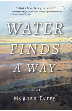 Water Finds a Way a Novel - Meghan Perry