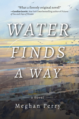 Water Finds a Way a Novel - Meghan Perry