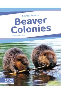 Poza produsului Beaver Colonies - Laura Perdew