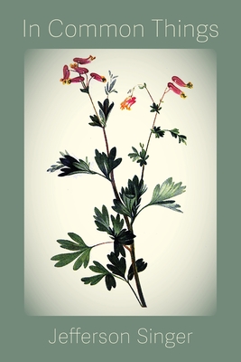 In Common Things - Jefferson Singer