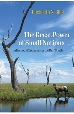 The Great Power of Small Nations: Indigenous Diplomacy in the Gulf South - Elizabeth N. Ellis
