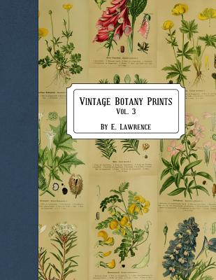 Vintage Botany Prints: Vol. 3 - E. Lawrence