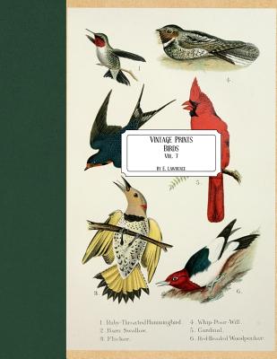 Vintage Prints: Birds: Vol. 7 - E. Lawrence