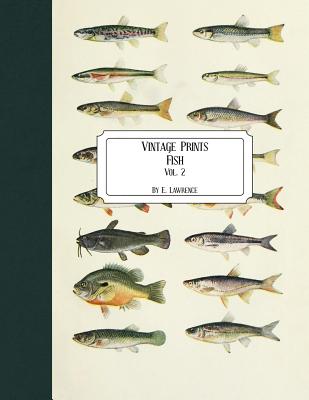 Vintage Prints: Fish: Vol. 2 - E. Lawrence