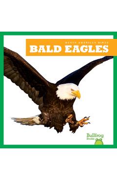 Coperta cărții 'Bald Eagles - Rachel Grack'