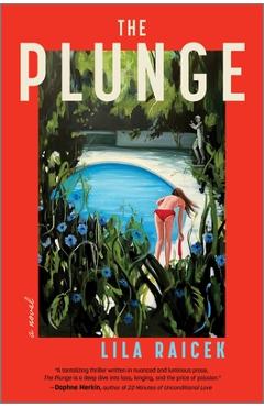 Coperta cărții 'The Plunge - Lila Raicek'