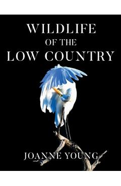 Wildlife of the Low Country - Joanne Young