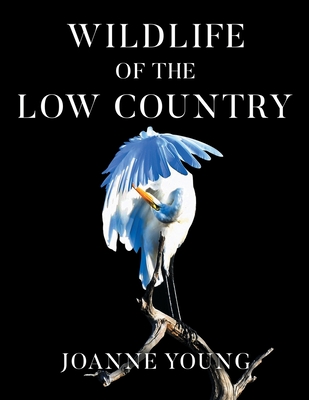 Coperta cărții 'Wildlife of the Low Country - Joanne Young'