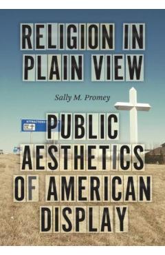 Religion in Plain View: Public Aesthetics of American Display - Sally M. Promey