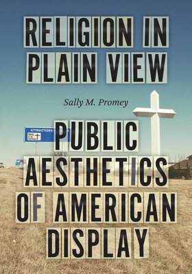 Religion in Plain View: Public Aesthetics of American Display - Sally M. Promey