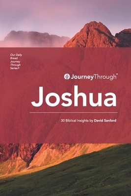 Journey Through Joshua: 30 Biblical Insights by David Sanford - David Sanford