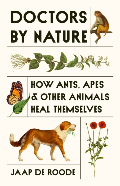 Doctors by Nature: How Ants, Apes, and Other Animals Heal Themselves - Jaap De Roode