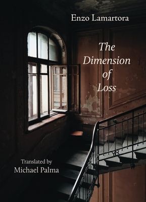 Coperta cărții 'The Dimension of Loss - Enzo Lamartora'