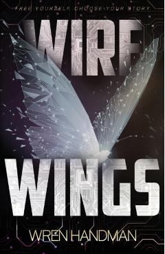 Wire Wings - Wren Handman