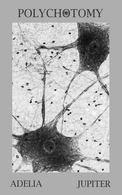 Polychotomy - Adelia Jupiter