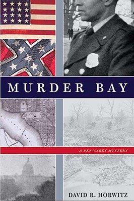 Murder Bay: A Ben Carey Mystery - David R. Horwitz