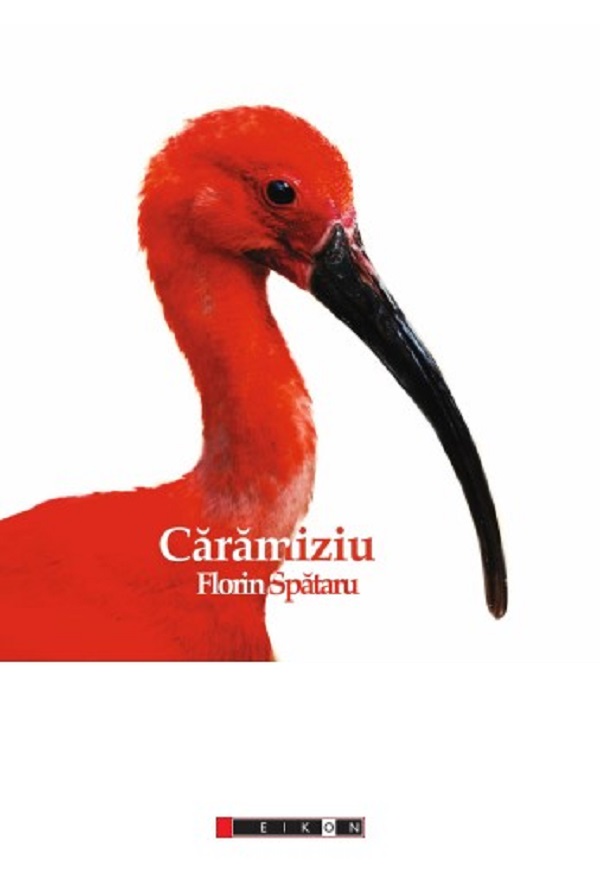 Caramiziu - Florin Spataru