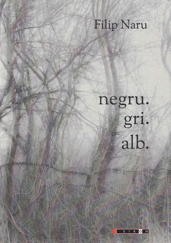 Negru. Gri. Alb - Filip Naru