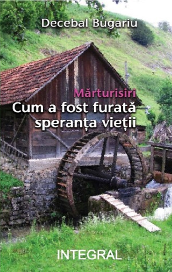Marturisiri. Cum a fost furata speranta vietii - Decebal Bugariu