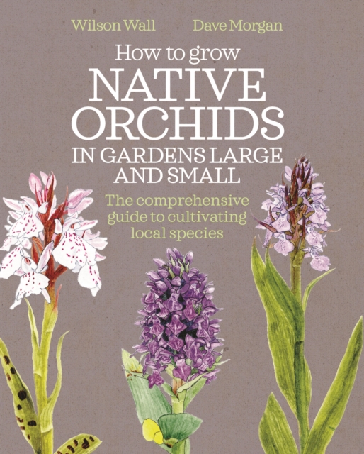 How to Grow Native Orchids in Gardens Large and Small - Wilson|morgan Wall