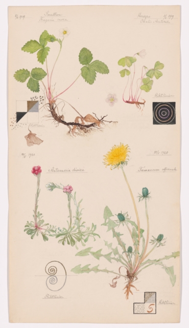 Hilma af Klint - 