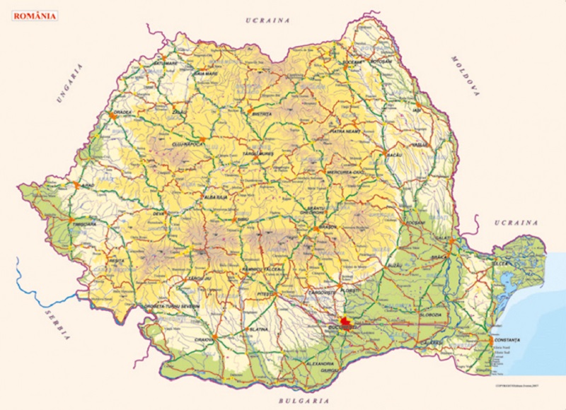 Agenda A5: Bordeaux. Domino Ego