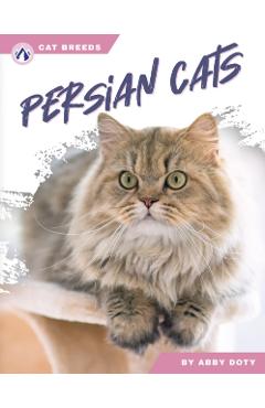 Persian Cats - Abby Doty