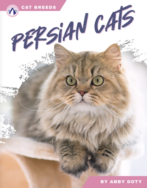 Persian Cats - Abby Doty