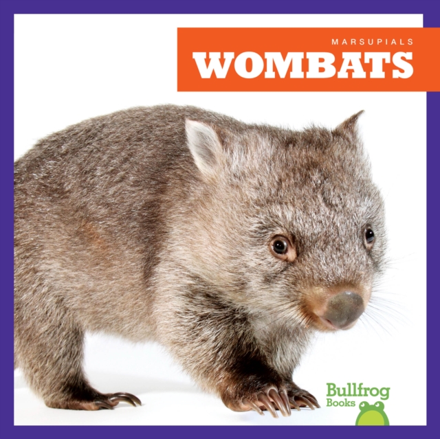 Wombats - Natalie Deniston