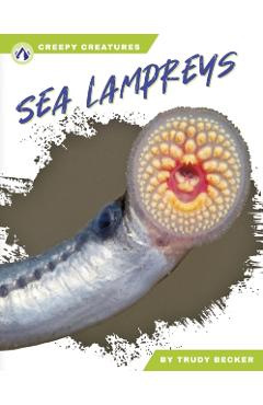 Poza produsului Sea Lampreys - Trudy Becker