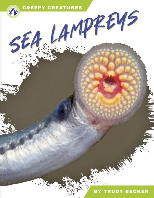 Sea Lampreys - Trudy Becker