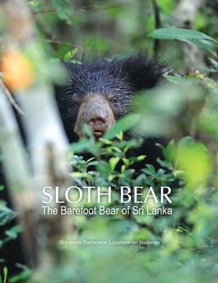 Sloth Bear: The Barefoot Bear of Sri Lanka - Shyamala Ratnayeke