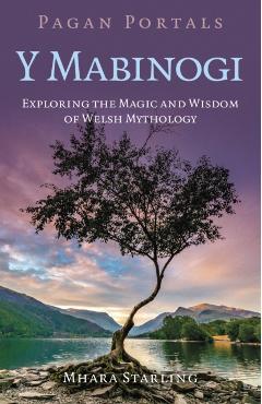 Pagan Portals Y Mabinogi: Exploring the Magic and Wisdom of Welsh Mythology -