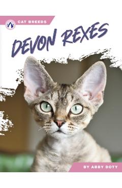 Poza produsului Devon Rexes - Abby Doty