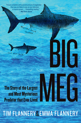 Big Meg: The Story of the Largest and Most Mysterious Predator That Ever Lived - Tim Flannery