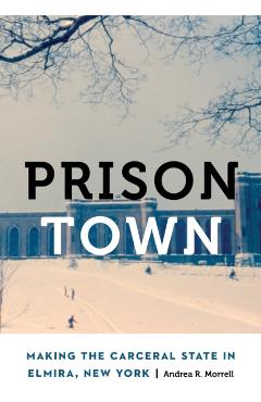 Prison Town: Making the Carceral State in Elmira, New York - Andrea R. Morrell