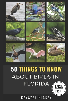 50 Things to Know About Birds in Florida: Birding in the Sunshine State - 50 Things To Know