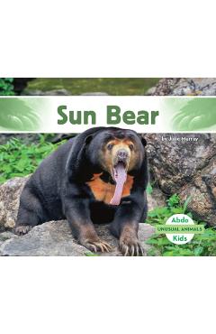 Sun Bear - Julie Murray