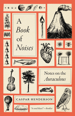A Book of Noises: Notes on the Auraculous - Caspar Henderson