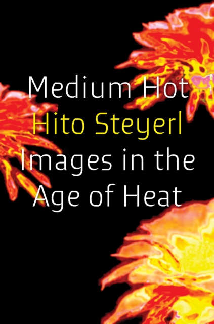 Medium Hot: Images in the Age of Heat - Hito Steyerl