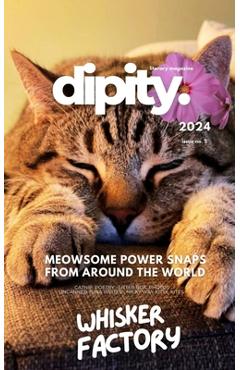 Coperta cărții 'Dipity Literary Magazine Issue #5 (WHISKER FACTORY): Softback Economy - Dipity Literary Magazine'