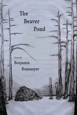 The Beaver Pond - Benjamin Rozonoyer