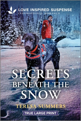 Coperta cărții 'Secrets Beneath the Snow - Teresa Summers'