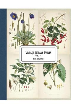 Vintage Botany Prints: Vol. 14 - E. Lawrence