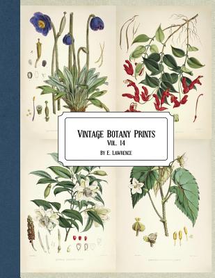 Vintage Botany Prints: Vol. 14 - E. Lawrence