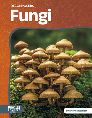 Fungi - Brienna Rossiter