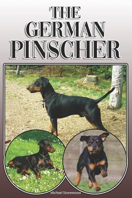 The German Pinscher: A Complete and Comprehensive Owners Guide To: Buying, Owning, Health, Grooming, Training, Obedience, Understanding and - Michael Stonewood